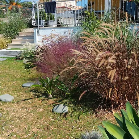 Apartament La Onthe Coast Allergyfree Capitana